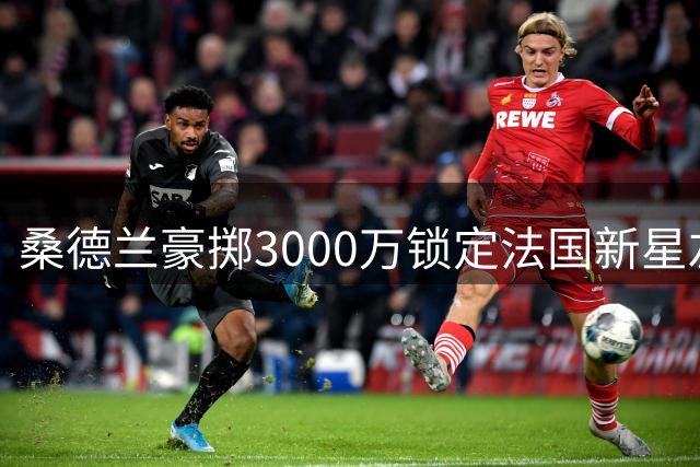 桑德兰豪掷3000万锁定法国新星左闸 或刷新图卢兹转会纪录