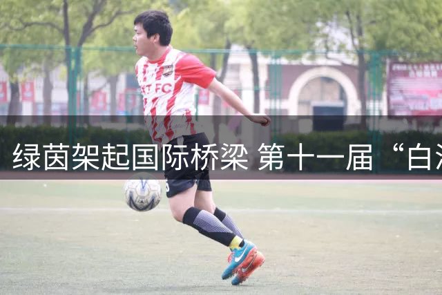 绿茵架起国际桥梁 第十一届“白洋淀杯”上海国际少年足球赛圆满落幕